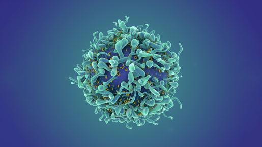 Deconstructing the Heterogeneity of Tumors via Single-Cell Sequencing