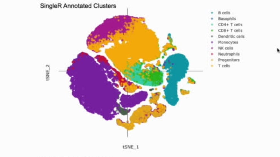Single-Cell - Cell Type Annotation 1