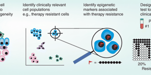Single-Cell Epigenomics: Methods, Challenges, and Applications